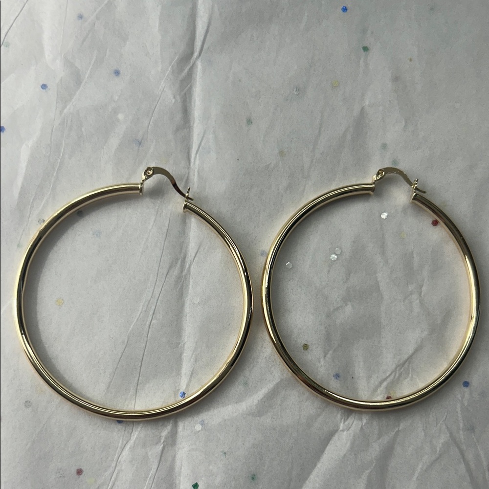 Elegant Gold Hoop Earrings